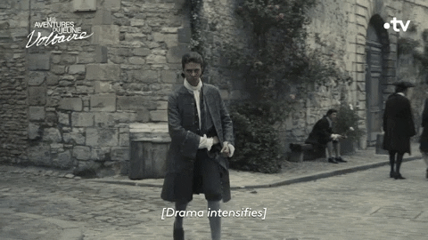 Tv Show Serie GIF by France tv
