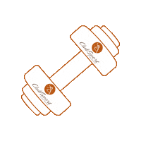Gym Dumbbell Sticker by ClubSport San Ramon