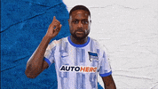 Deyovaisio Zeefuik Bundesliga GIF by Hertha BSC