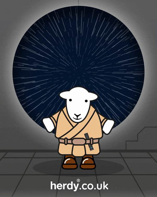 May The Fourth Be With You Star Wars GIF by Herdy
