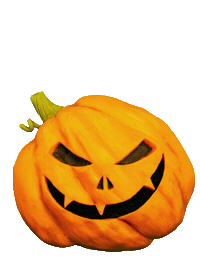 Night Owl Halloween Sticker by Elysian Brewing Co.