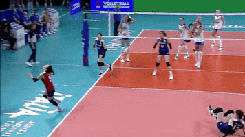 Go For It Laughing GIF by Volleyball World