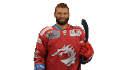 Hockey Stick Smile Sticker by HC Oceláři Třinec