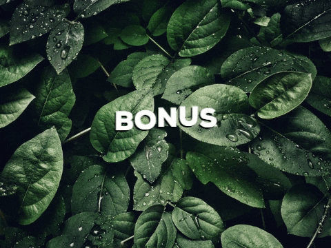 soniasevellec giphygifmaker GIF