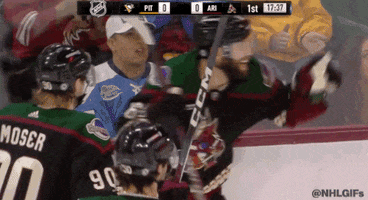 Happy Arizona Coyotes GIF by NHL