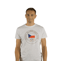 Waving Czech Republic GIF by Český olympijský tým