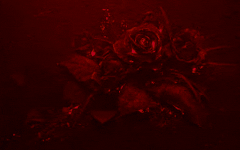 codydisoza789 giphygifmaker GIF