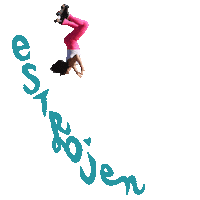 Disco 70S Sticker by Moxi Roller Skates