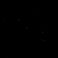 TheBeardStruggle brand beard viking tbs GIF