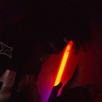Division 1 Sport GIF by TCU Football