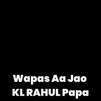 Delhi Capitals Ipl GIF