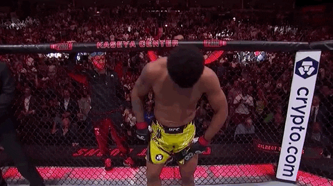 Sport Grin GIF by UFC
