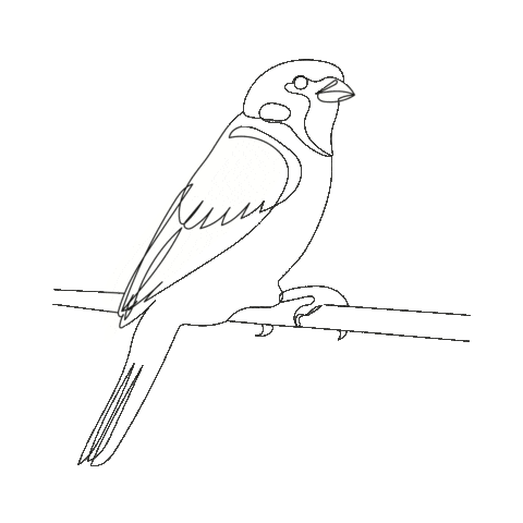 Bird Flora Sticker by Kees Smit Tuinmeubelen