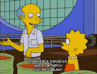lisa simpson episode 21 GIF