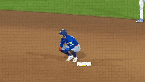 Blue Jays Baseball GIF by Toronto Blue Jays