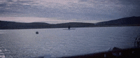 Sport Sun GIF