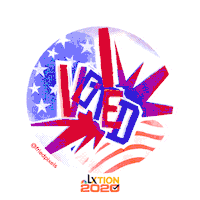 Election 2020 Vote Sticker by NBC LX