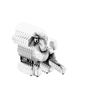 Dog Poodle Sticker by Pudelek