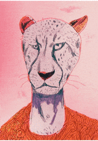 Tiger Wildlife GIF by phildekem