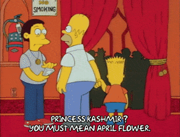 Season 1 Episode 10 GIF by The Simpsons