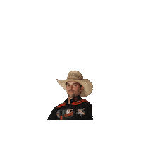 kcoutlawspbr outlaw kco pbrteams kcoutlaws Sticker