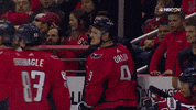 mean ice hockey GIF by Capitals