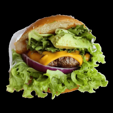 burganic_mx giphygifmaker burger organic avocado GIF