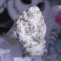 The 8Th Flower GIF by Exclusive Brands