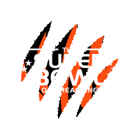 Super Bowl Crossroads Sticker by crsrdsstudents