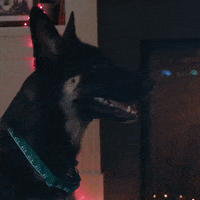 Happy Christmas Time GIF by Biden Inauguration Committee