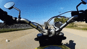 GIF by Supercompressor