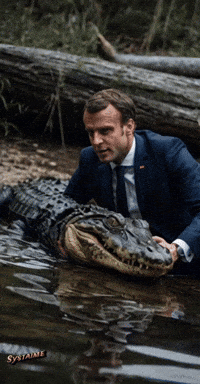 Macron GIF by systaime
