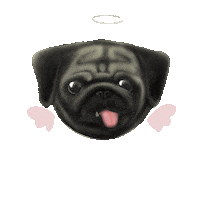 Gentriestodraw angel pug doggos gentriestodraw Sticker