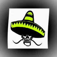 pablosskull party festival mexico relax GIF