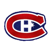 Hockey Nhl Sticker by imoji