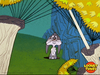 confused bugs bunny GIF by Looney Tunes