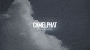 GIF by Camelphat Music