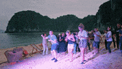 VIER vietnam vier de mol demol GIF