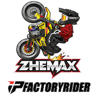 Stunt Supermotard Sticker by Insane-parts