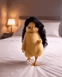 Strut Modelwalk GIF