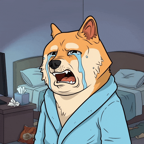 Sad Shiba Inu GIF by Doge Pound