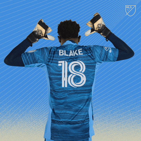 Philadelphia Union Football GIF by Major League Soccer
