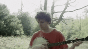 Folk Music Forest GIF by Sam Amidon