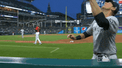 Regular Season Sport GIF by MLB