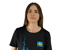 Point Yes GIF by scandtrack touristik GmbH