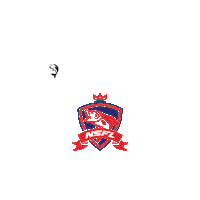 Sport-Fiske-NSFL nsfl sportfiske sport-fiskeno abbor Sticker