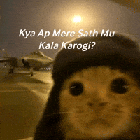 Highfyop pilotcat mere sath mu kala kya ap mere sath mu kala karogi GIF