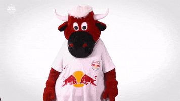 Come On Sport GIF by FC Red Bull Salzburg
