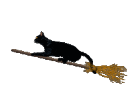 black cat STICKER