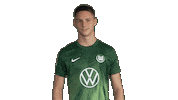 Football Love Sticker by VfL Wolfsburg